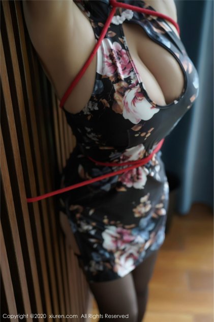 宫锁双姝